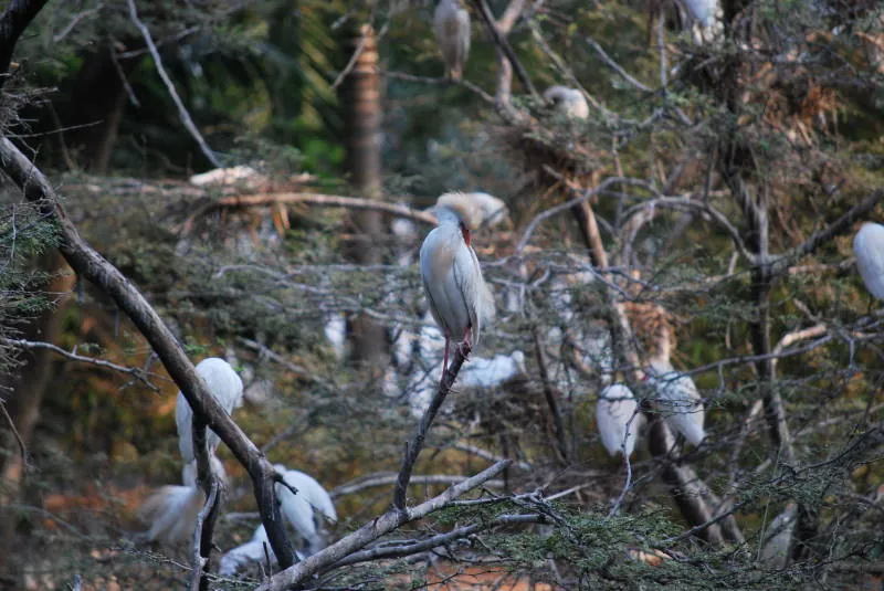 Zoológico El Pantanal