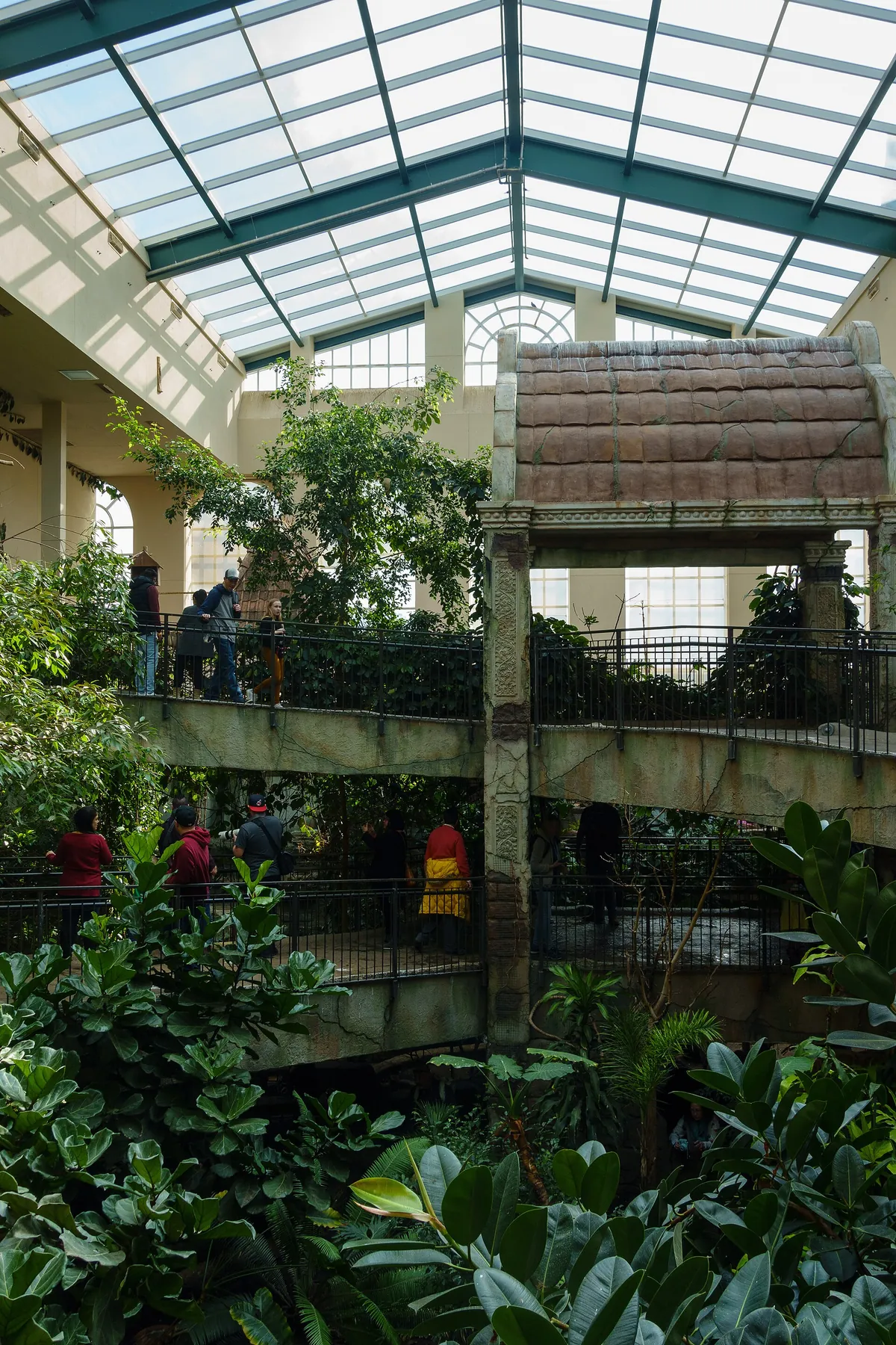 Bird Kingdom