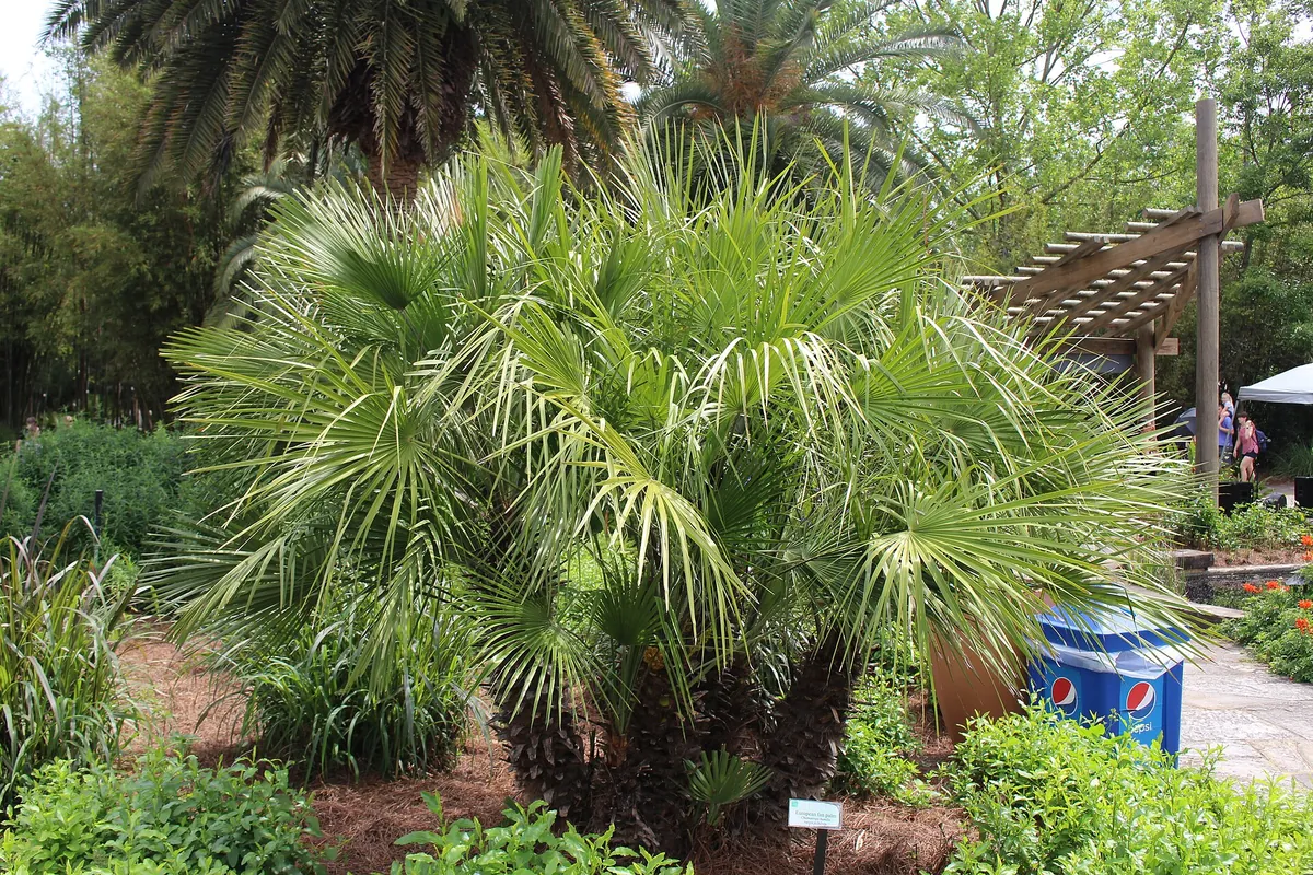 Jacksonville Zoo and Gardens