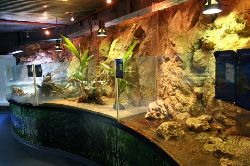 Aquarium de Guadeloupe