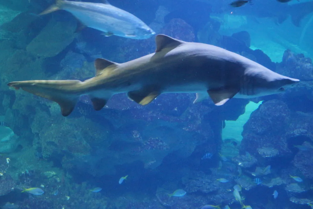 Blue Planet Aquarium
