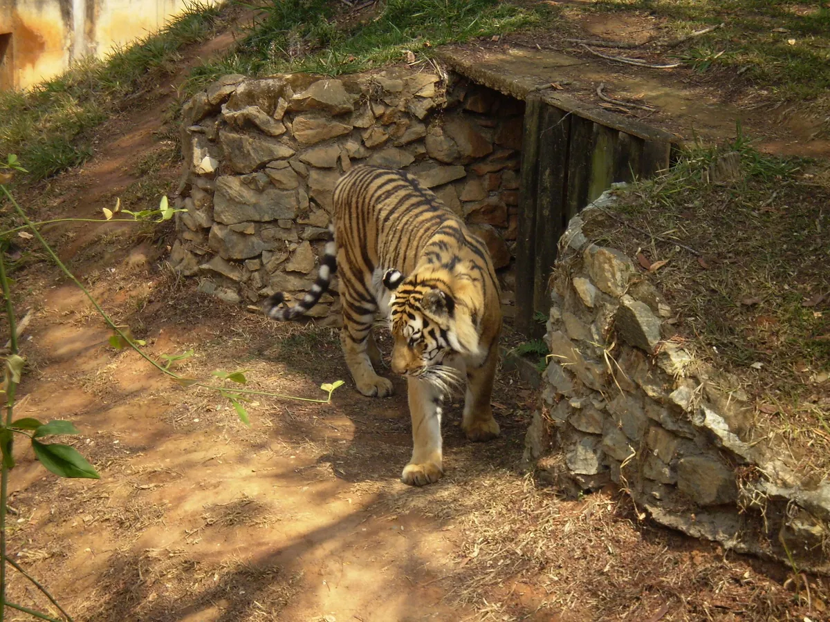 Zoological Garden of Belo Horizonte