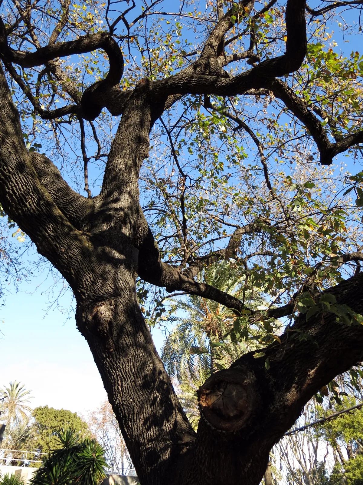 Parc Zoològic de Barcelona
