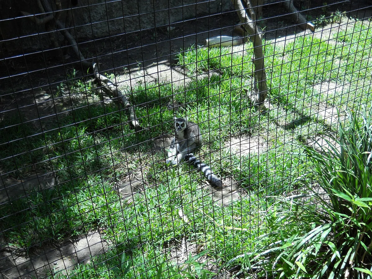 Hattiesburg Zoo