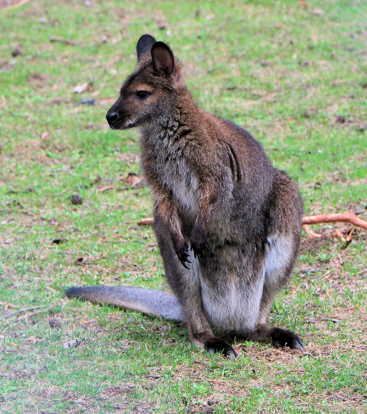 Riverviewpark Andzoo
