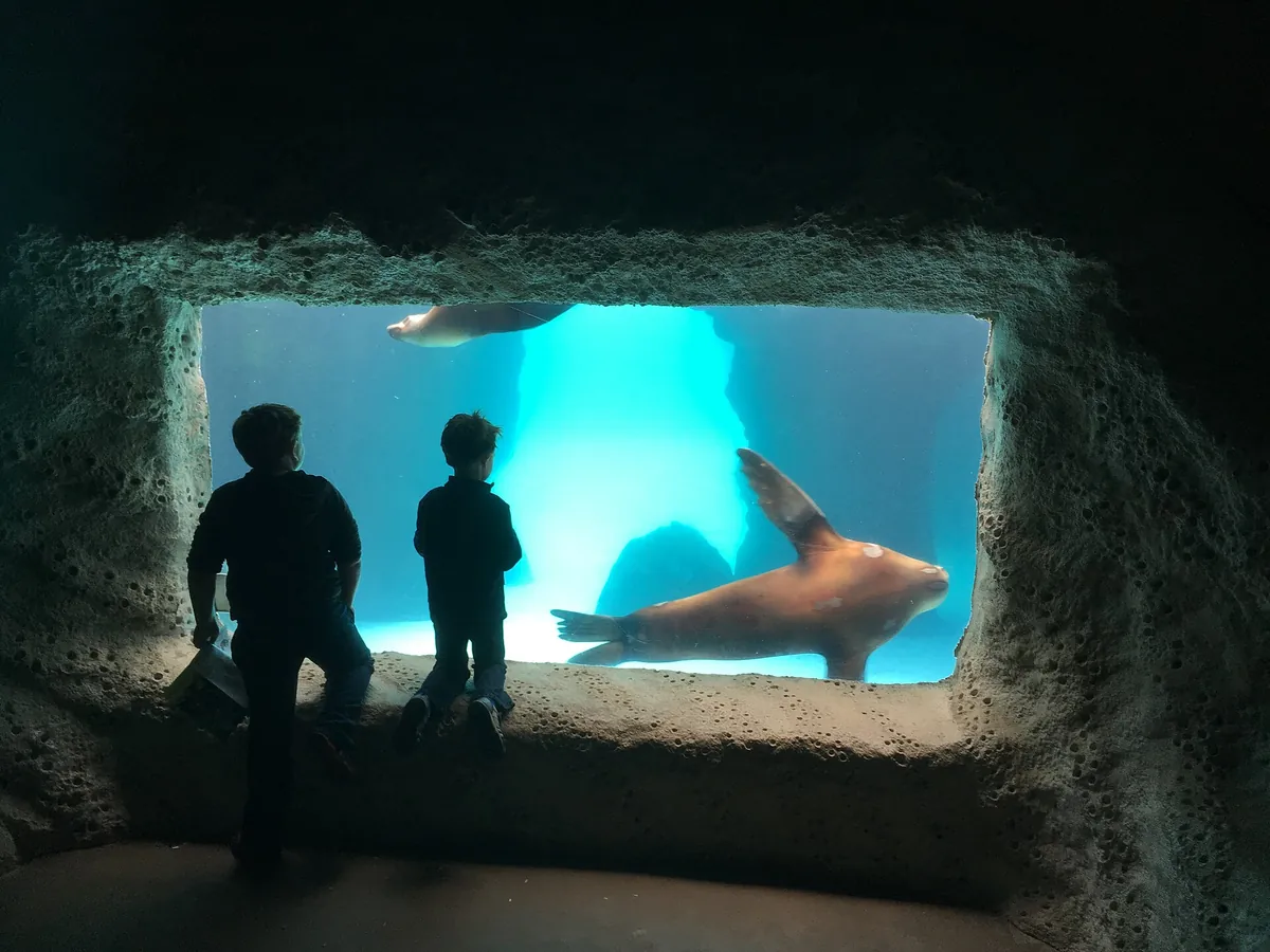 Long Island Aquarium and Exhibition Center