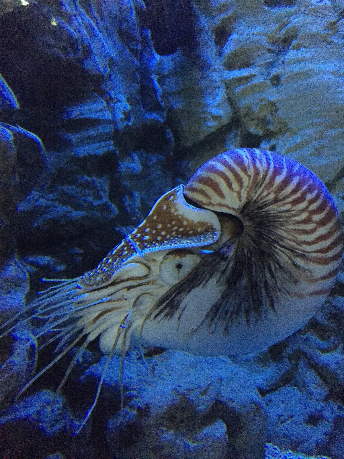 Sylt Aquarium