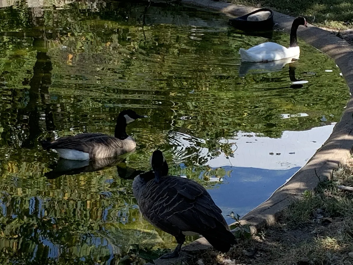 Sunset Zoological Park