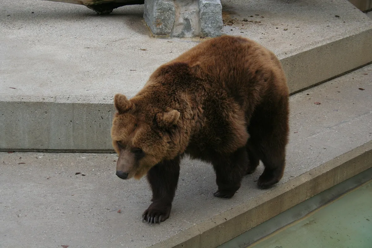 Tiergarten Mönchengladbach