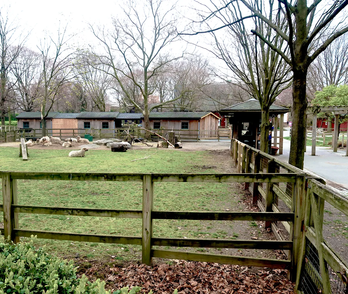 Queens Zoo