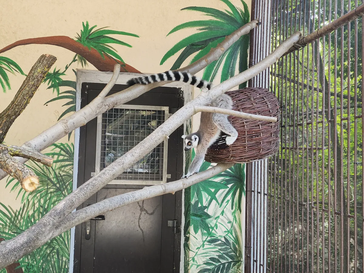 Bratislava Zoo