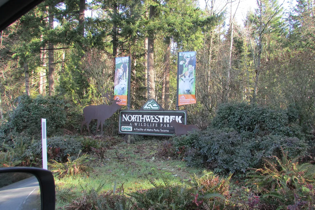 Northwest Trek Wildlife Park