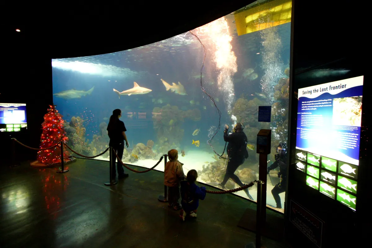 Johnny Morris' Wonders of Wildlife National Museum & Aquarium