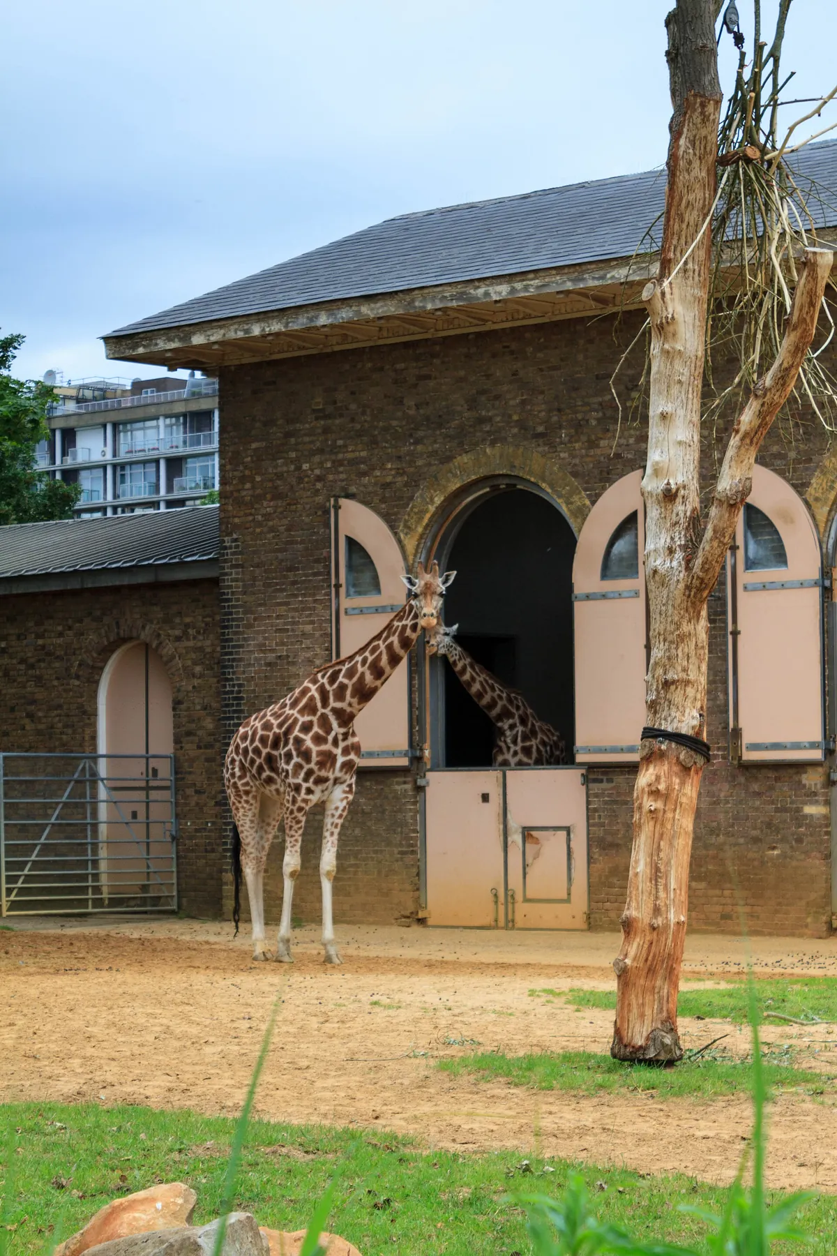 London Zoo