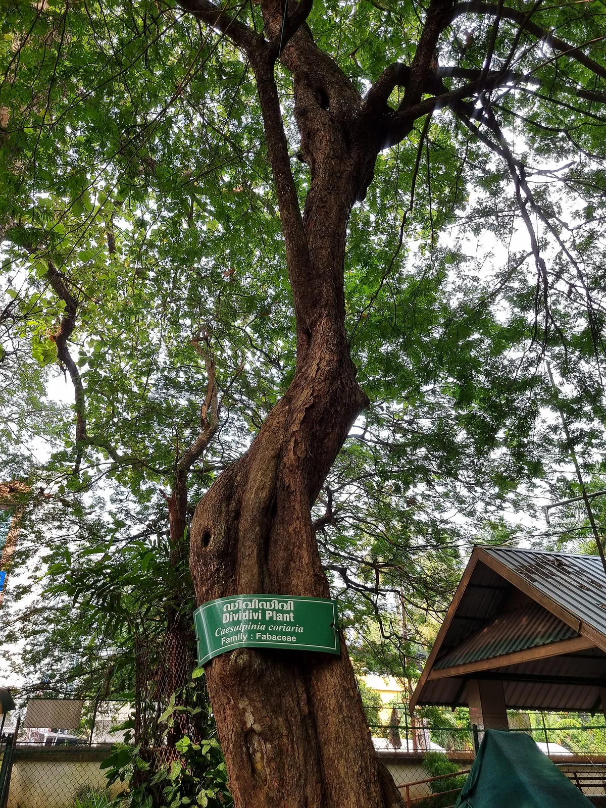 Thrissur Zoo