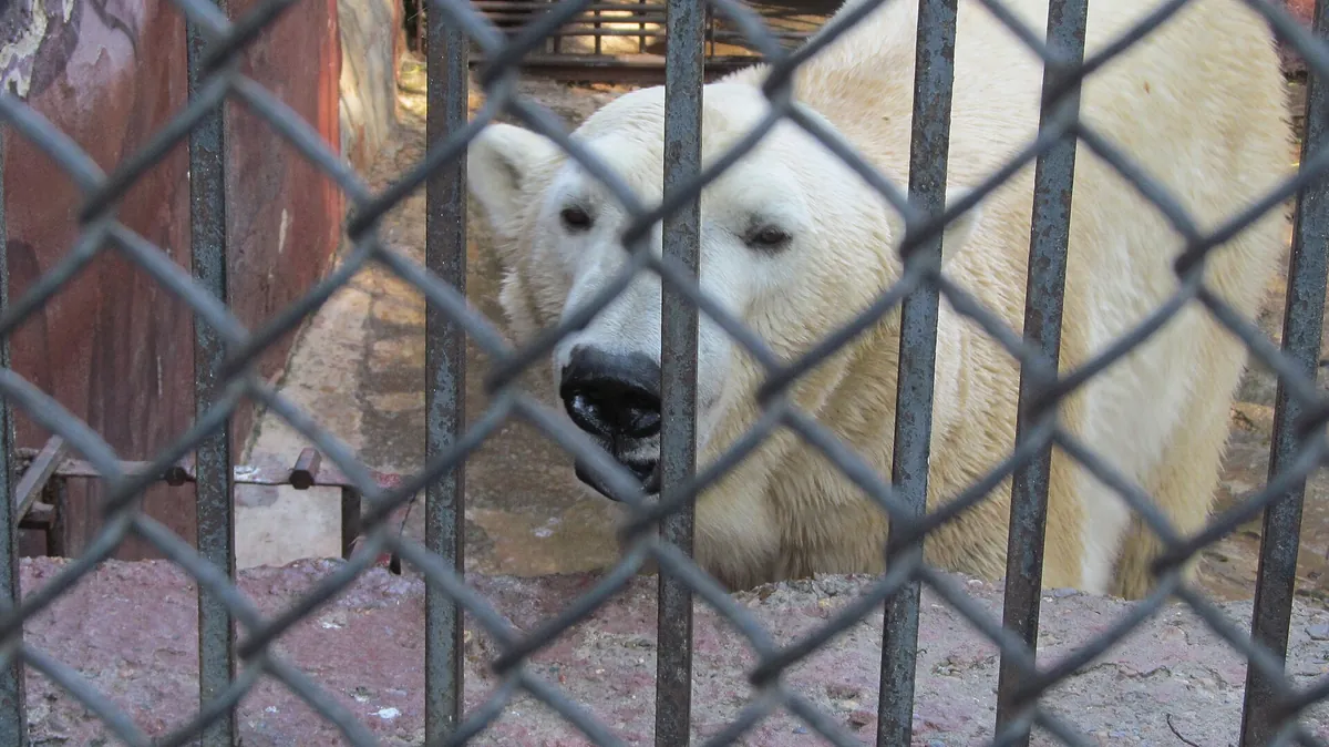 Perm Zoo