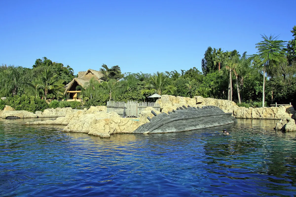 Discovery Cove