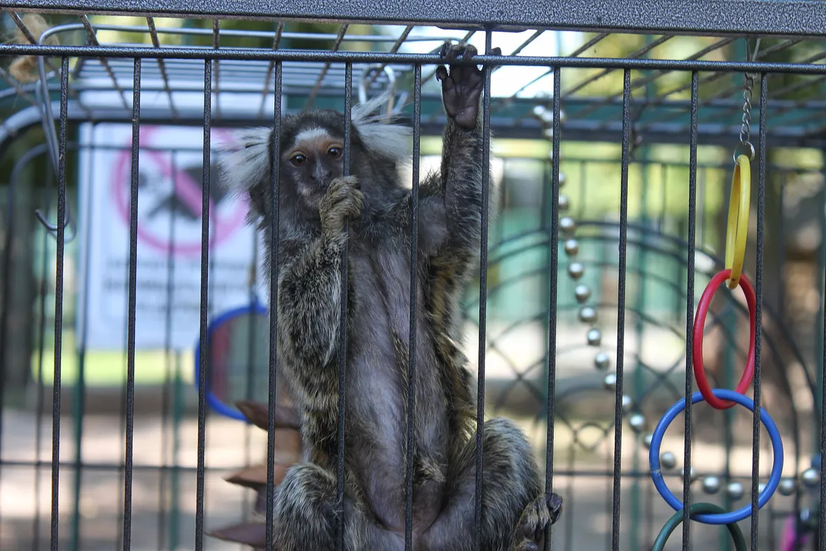 Lutsk Zoo