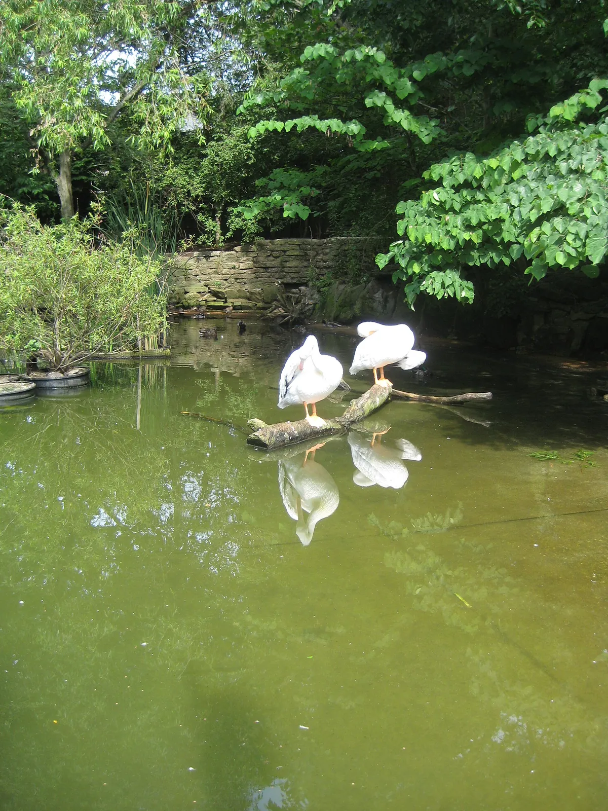 John Ball Zoo