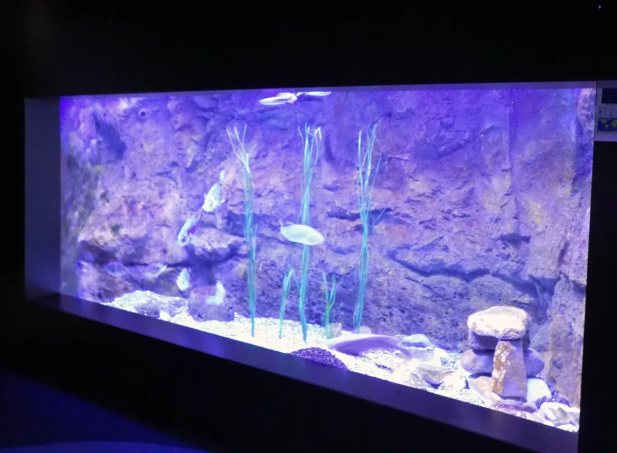 Aquarium Boka
