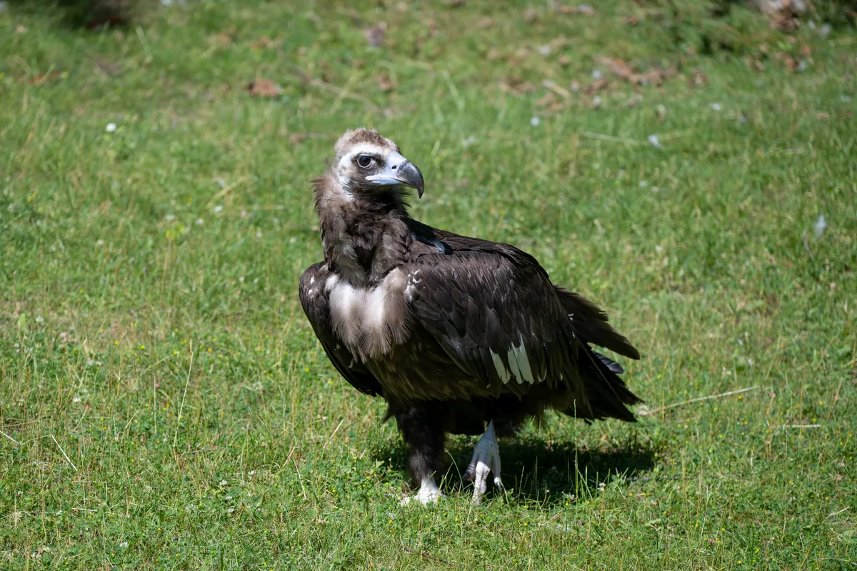 Milwaukee County Zoological Gardens