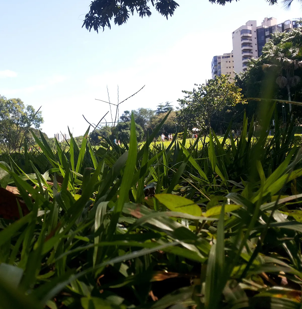 Zoológico de Goiânia