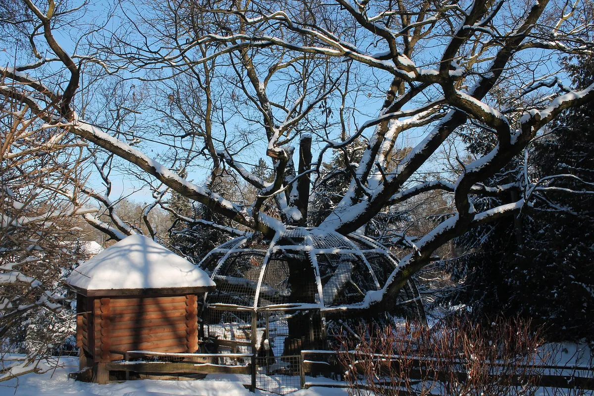 Rivne Zoo