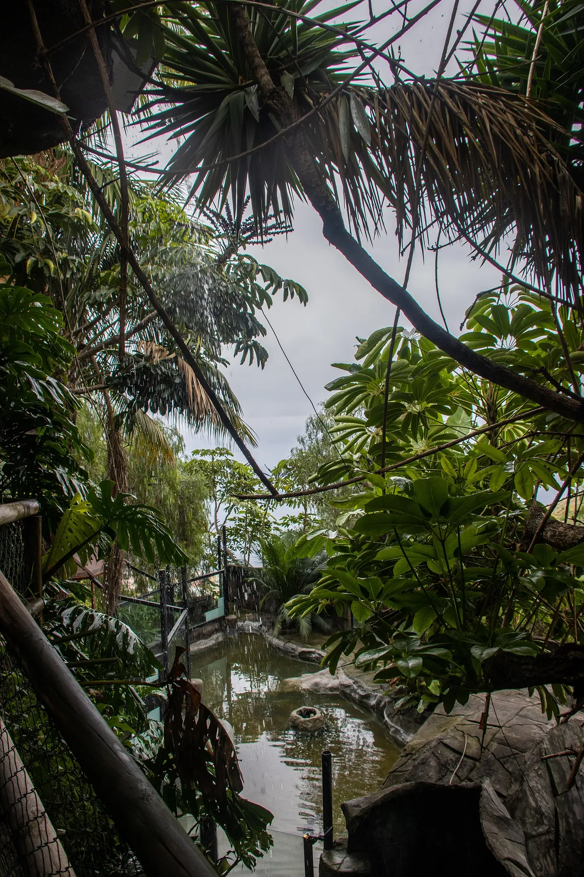 MAROPARQUE ISLA DE LA PALMA