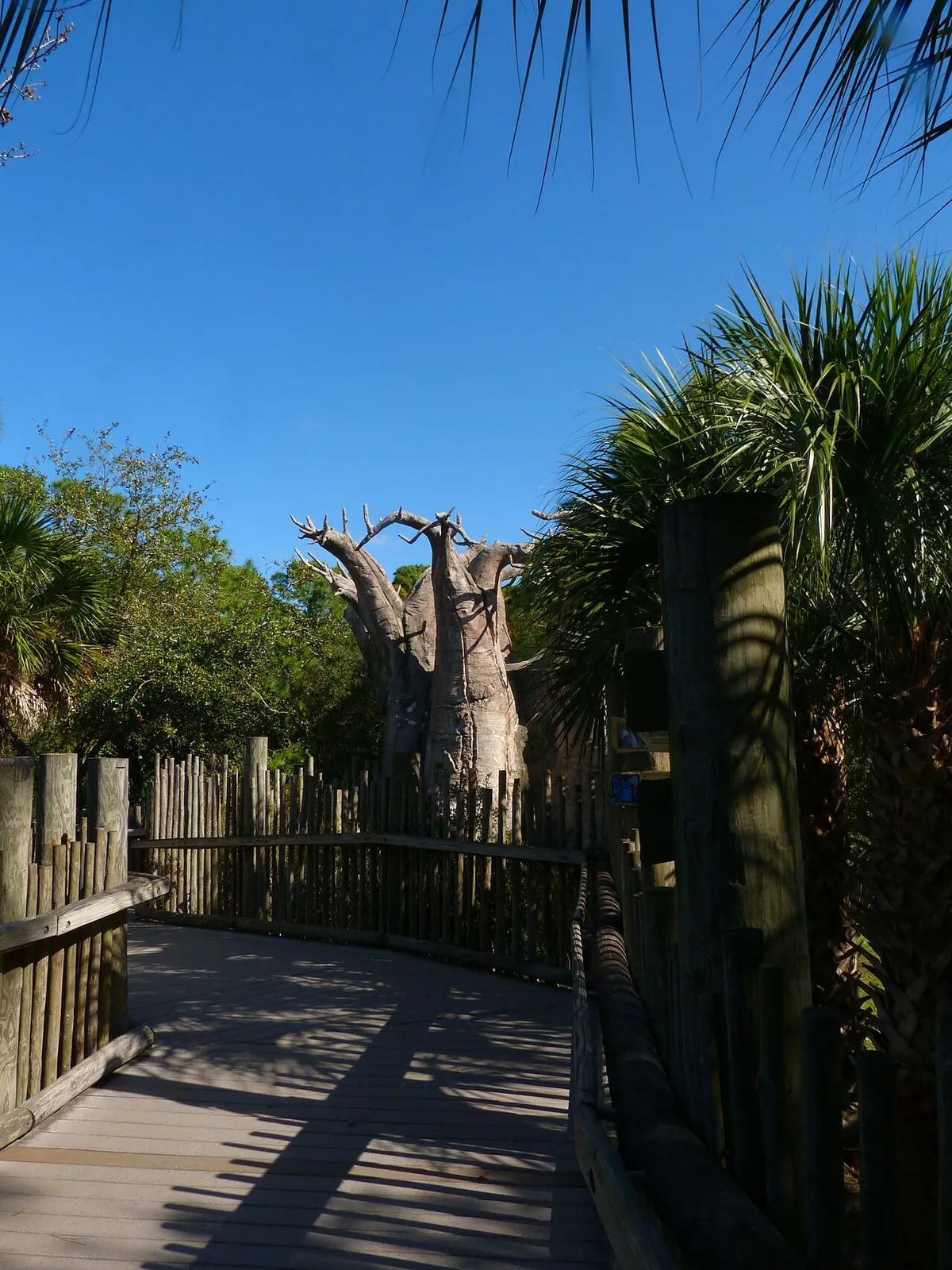 Brevard Zoo