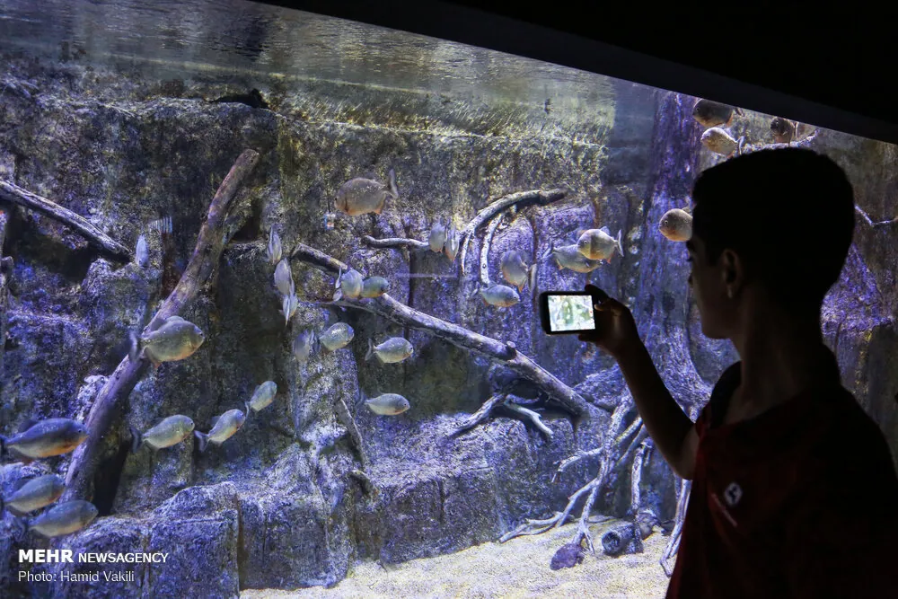 Isfahan Aquarium