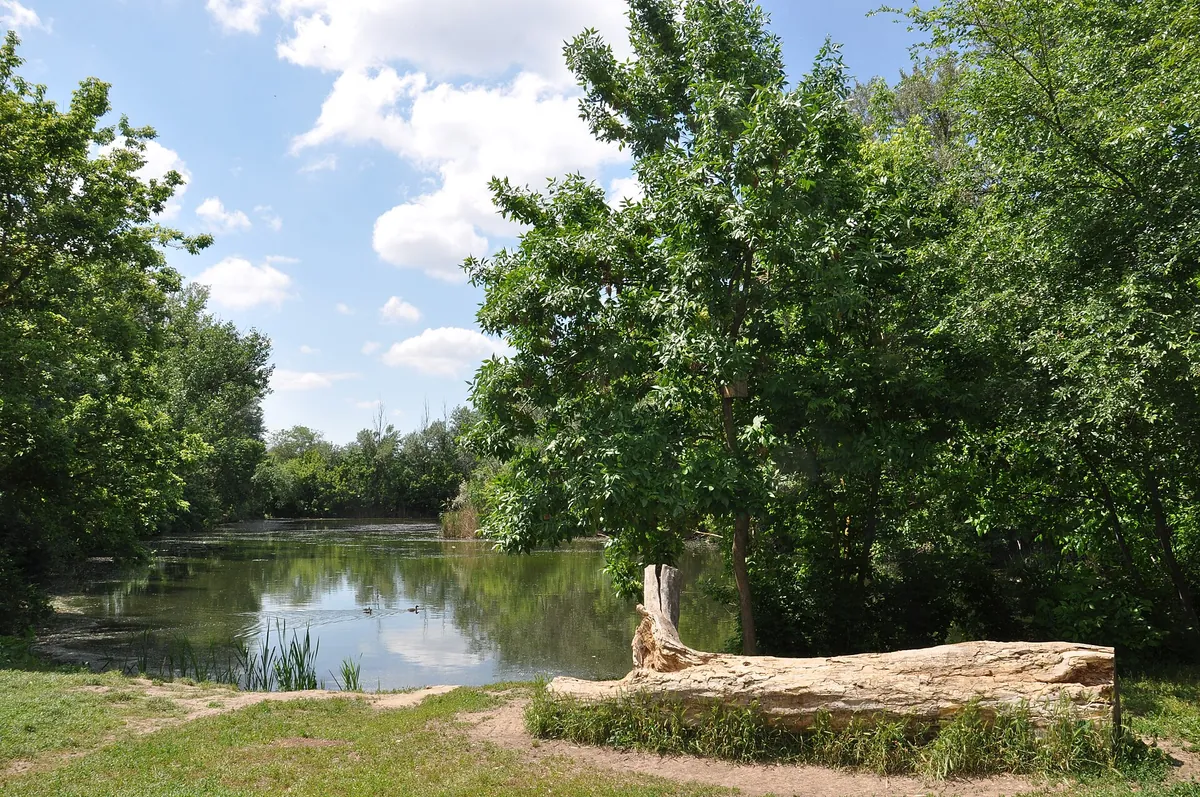 Rostov Zoo