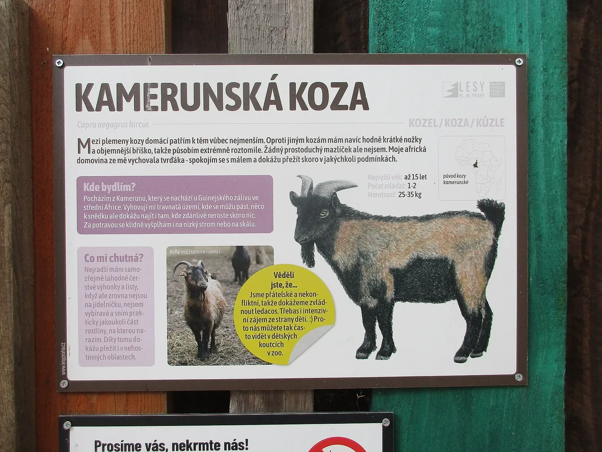 zookoutek Kamýk