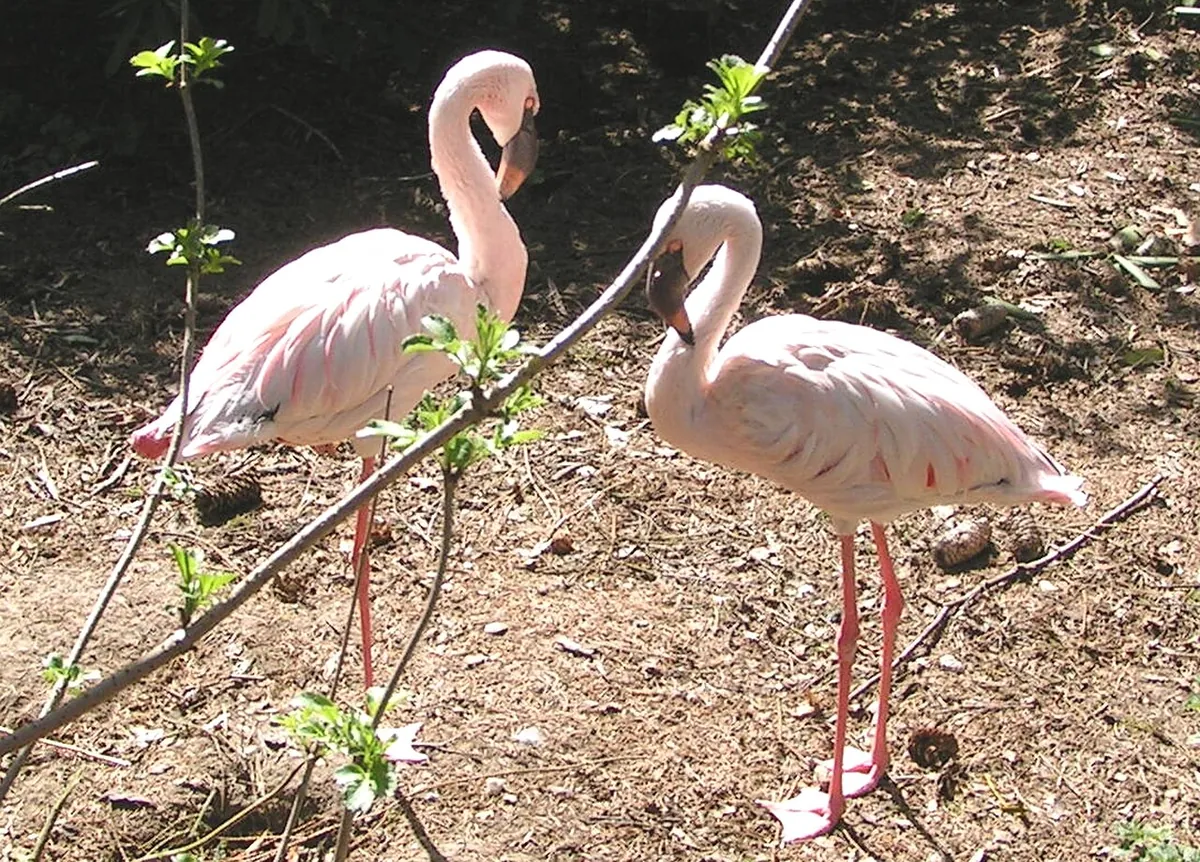 Vogelpark Abensberg