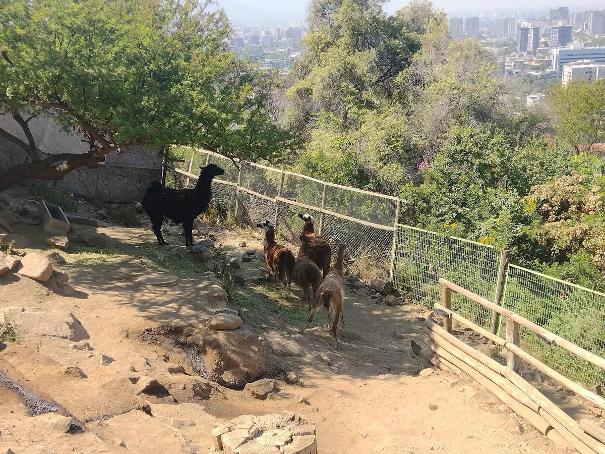 Zoológico Nacional, Parque Metropolitano de Santiago