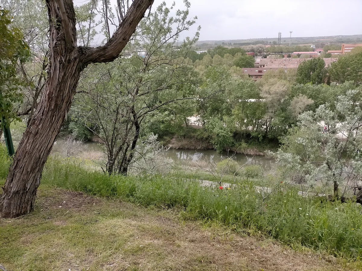 PARQUE ZOOLÓGICO DE GUADALAJARA