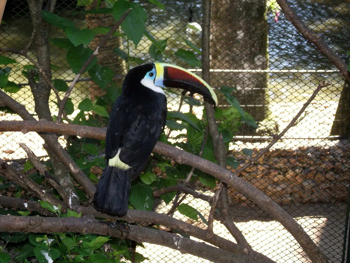 Zoo Pomerode