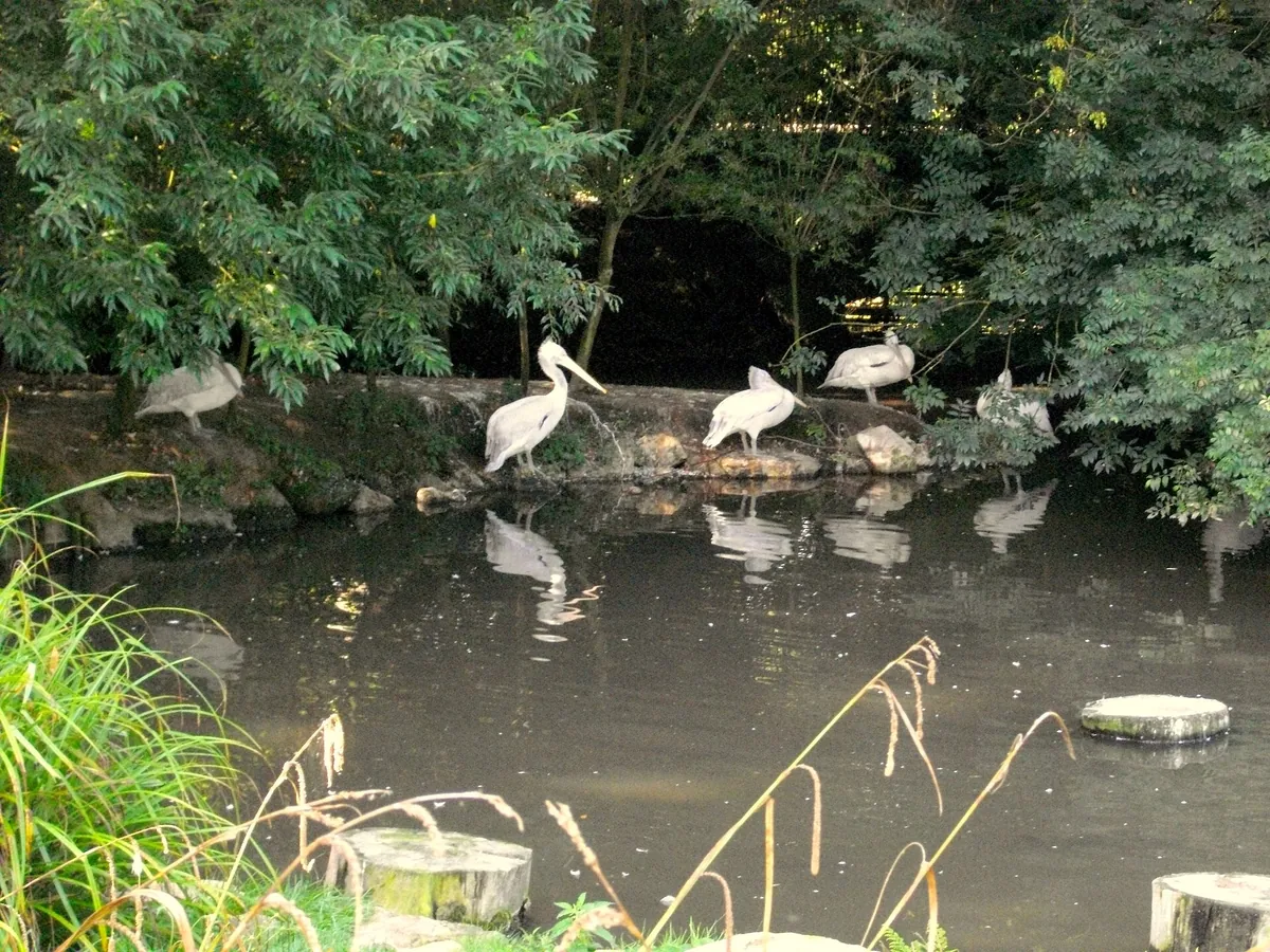 Cleres Zoological Park
