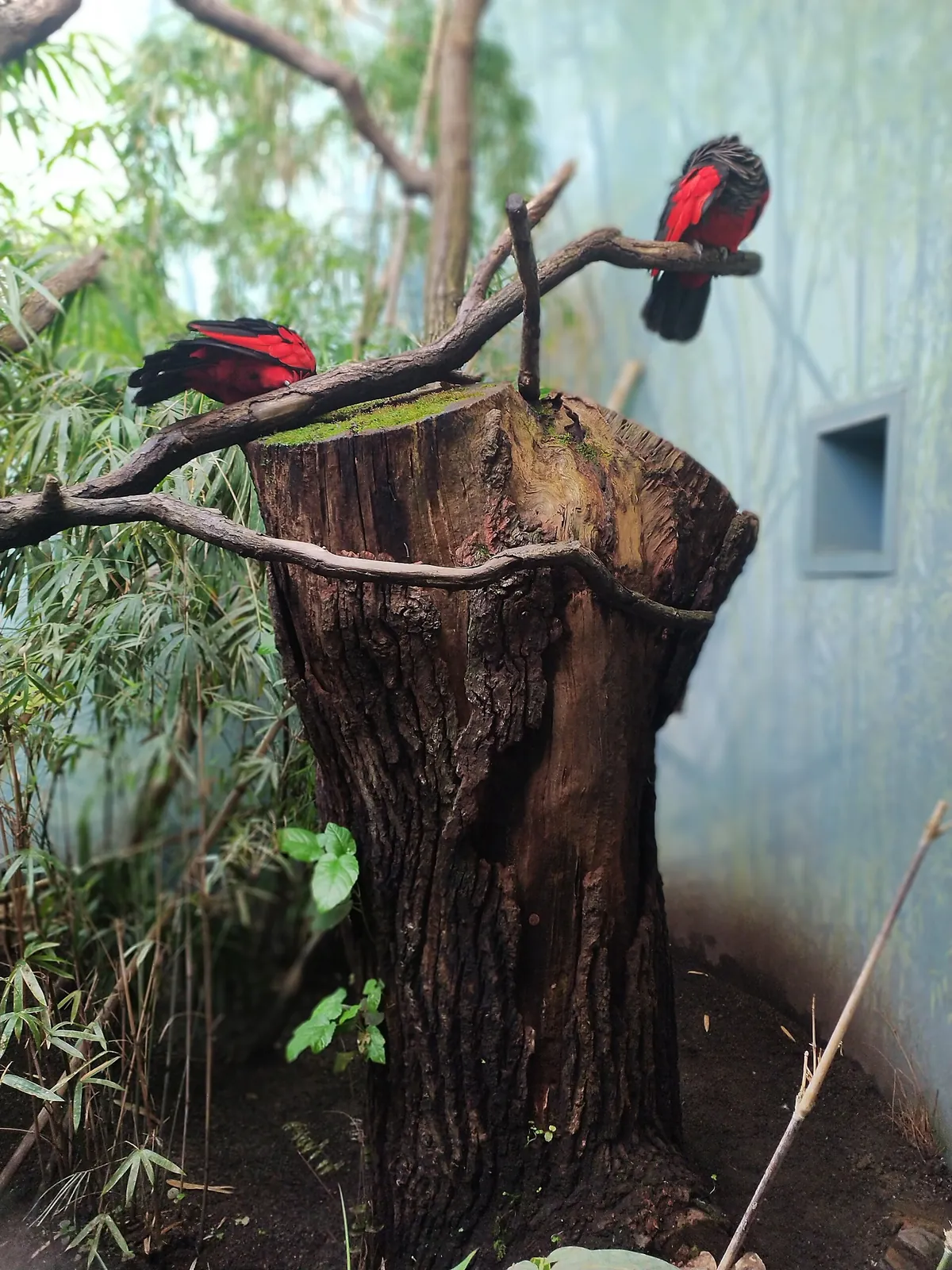 Prague Zoo