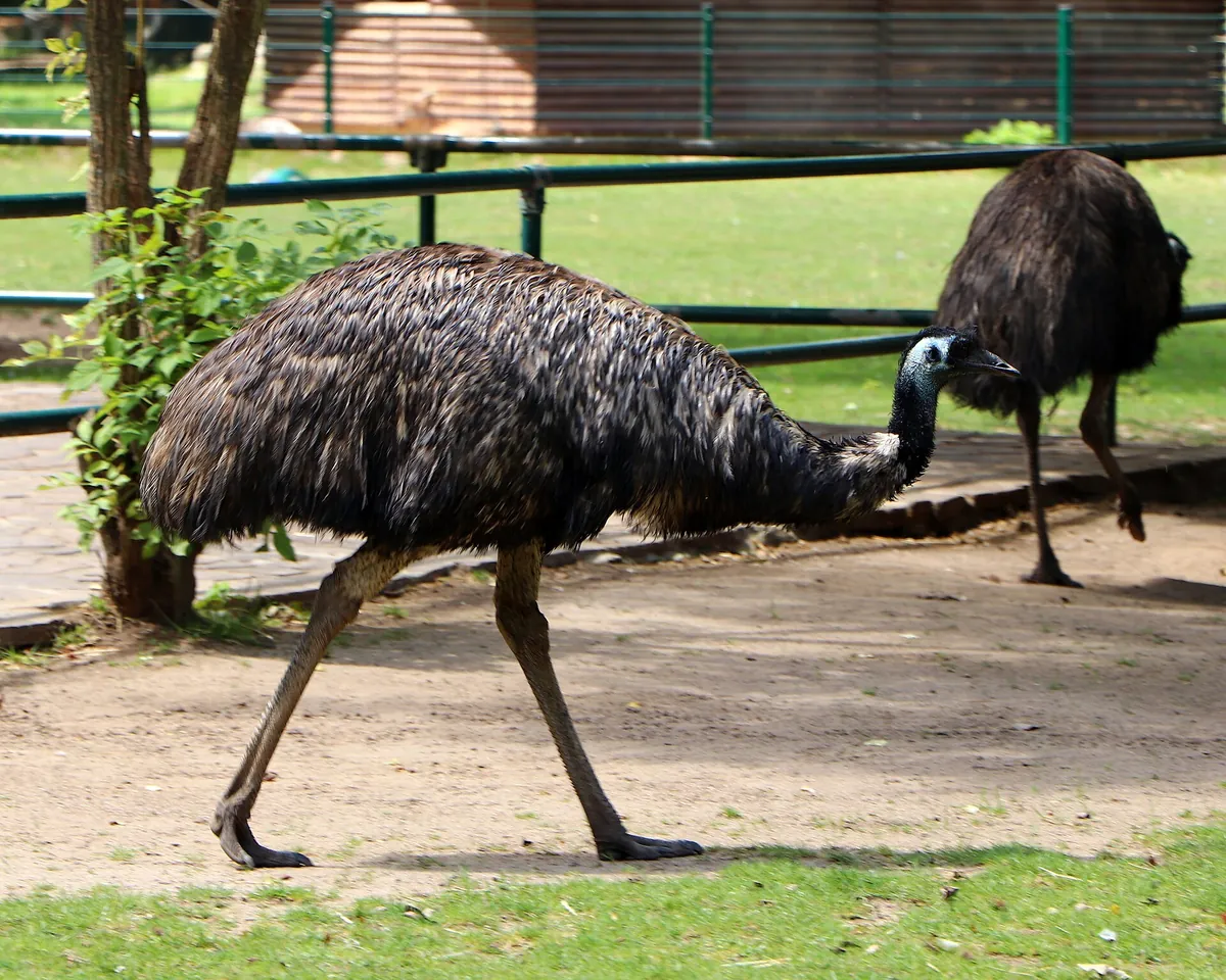 Tierpark Eilenburg