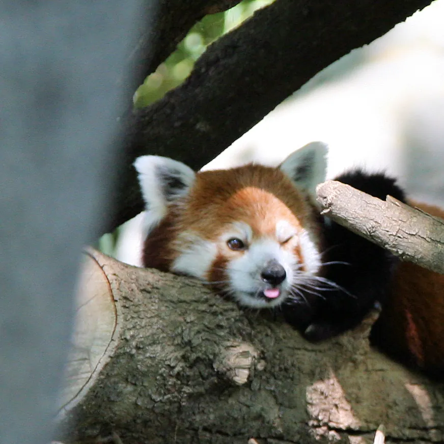 Sacramento Zoo