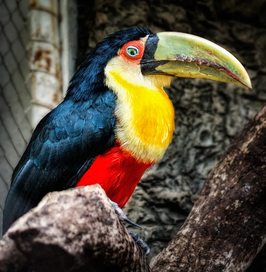 Dallas World Aquarium