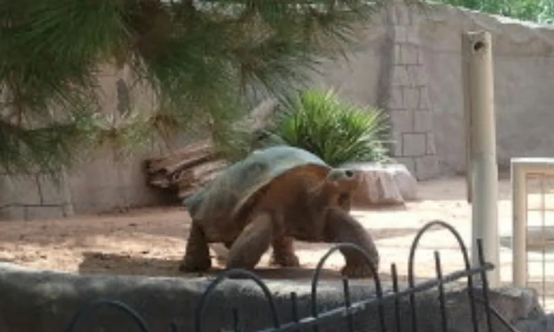 El Paso Zoo