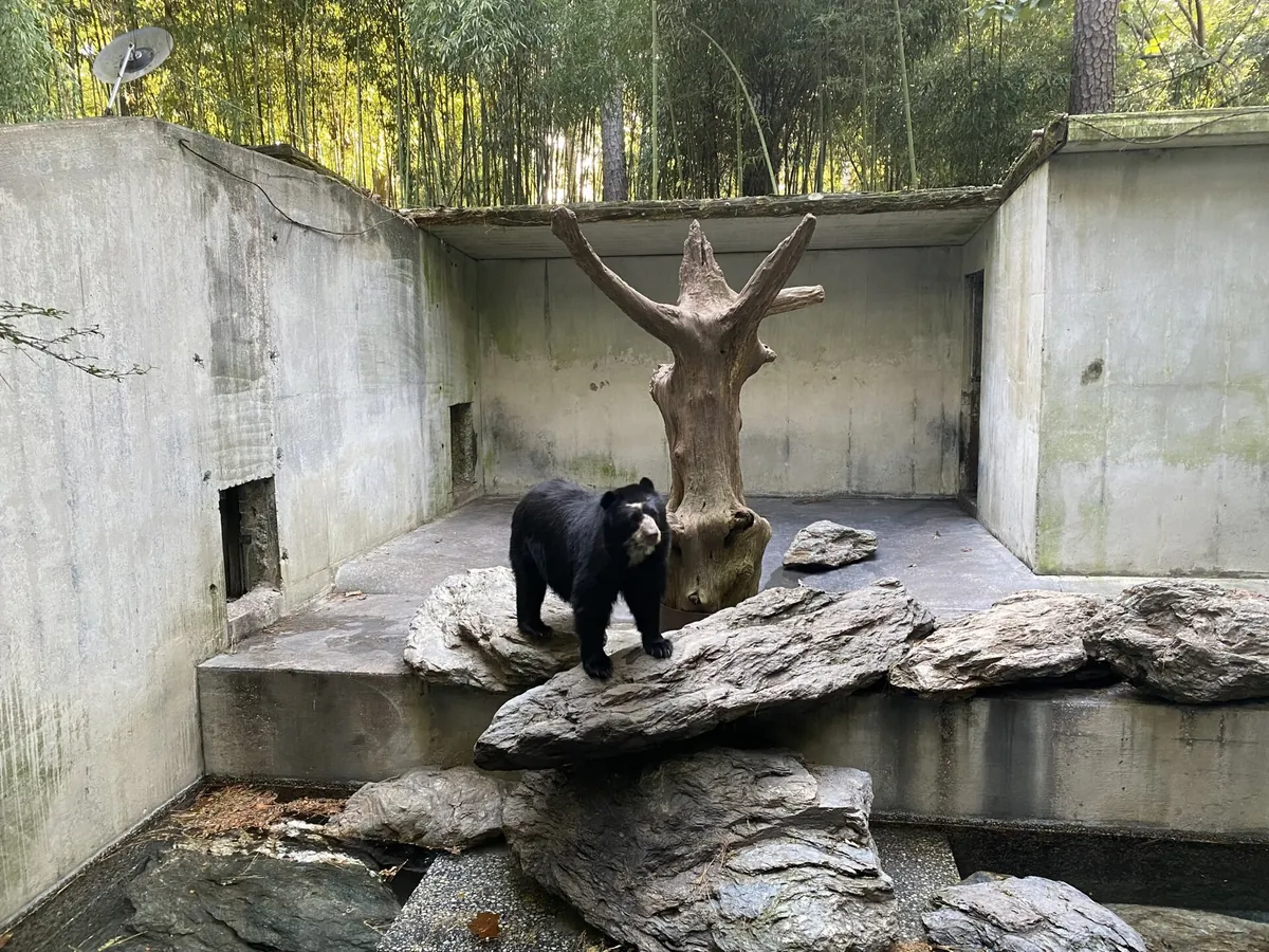 Salisbury Zoo