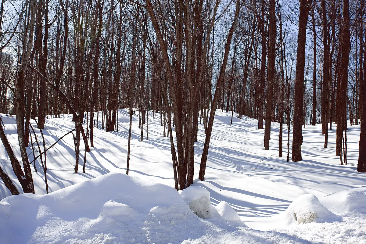 Parc Omega