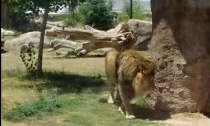 El Paso Zoo