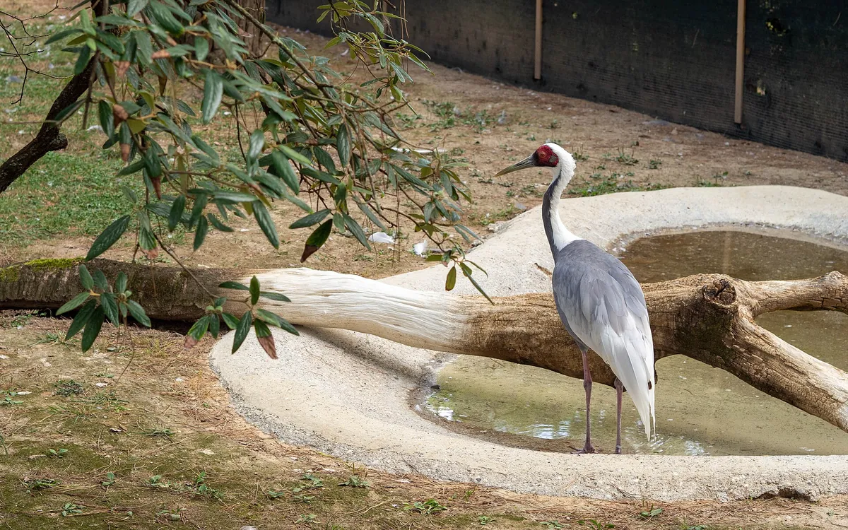 Parco Zoo Punta Verde