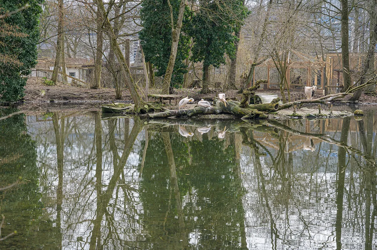 Tiergarten Wels