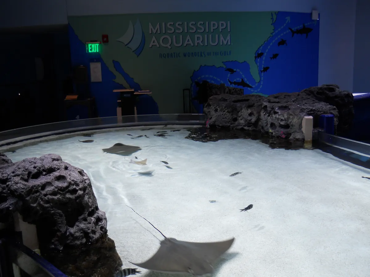 Mississippi Aquarium