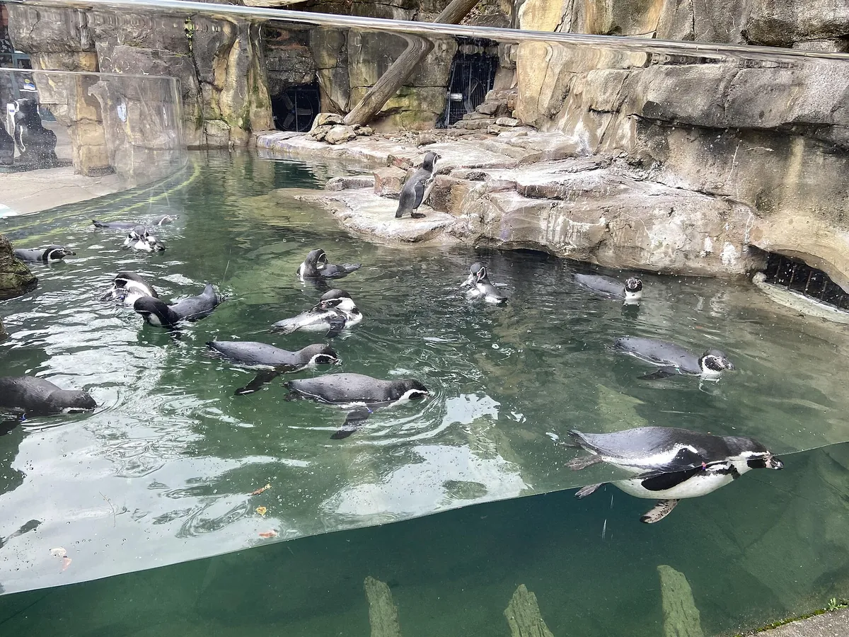 Akron Zoological Park