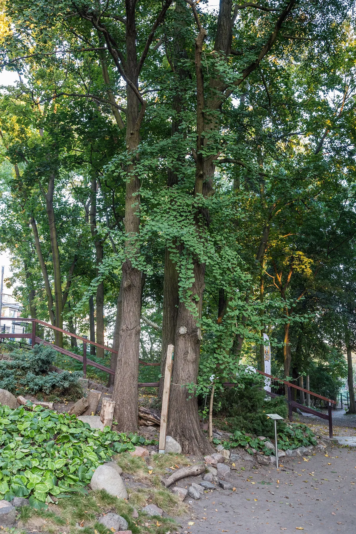 Toruń Zoobotanical Garden